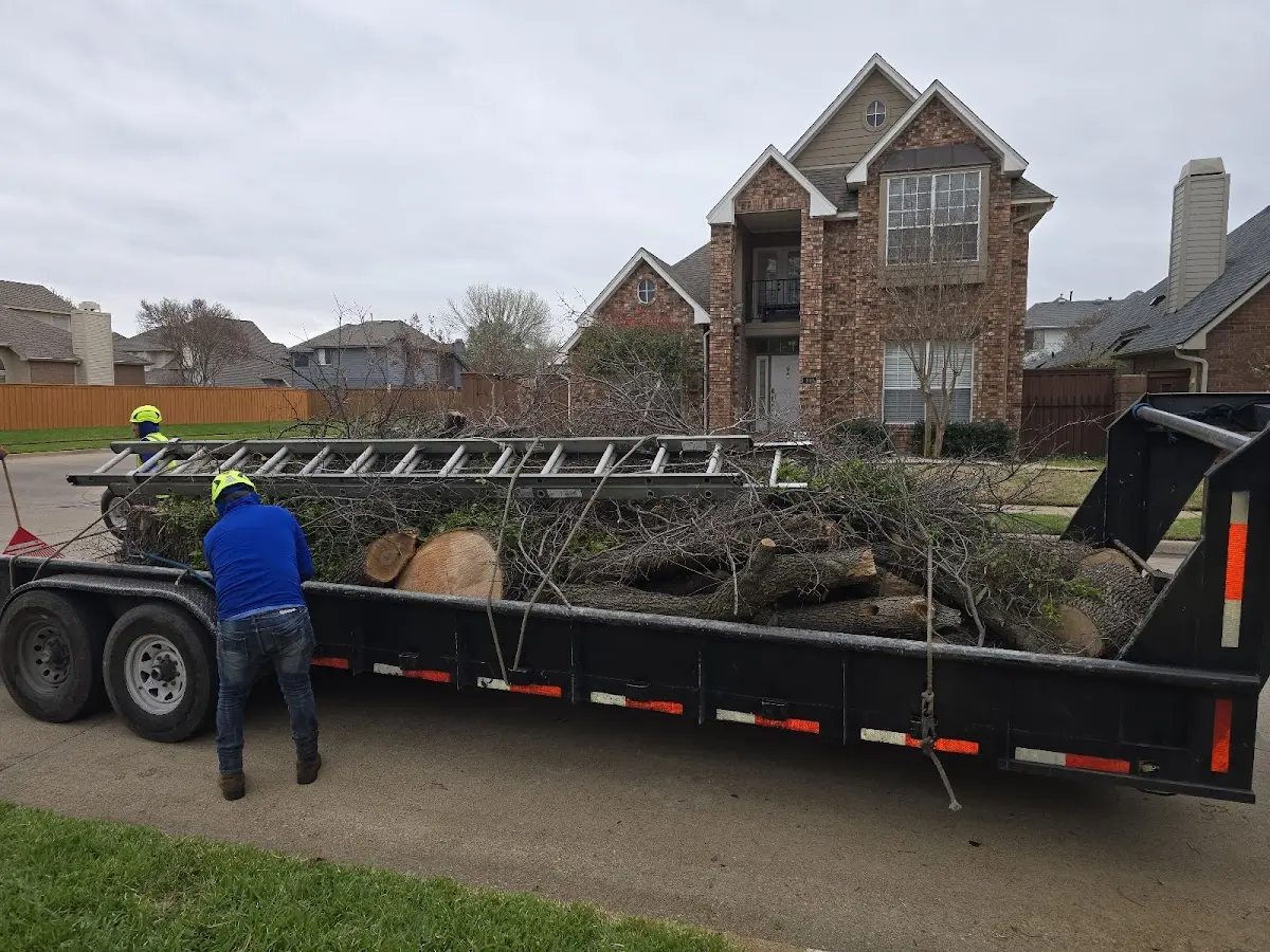 Expert Tree Pest Control with proper safety equipment in Greenfield